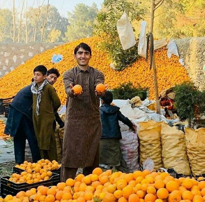 Kandahar Market