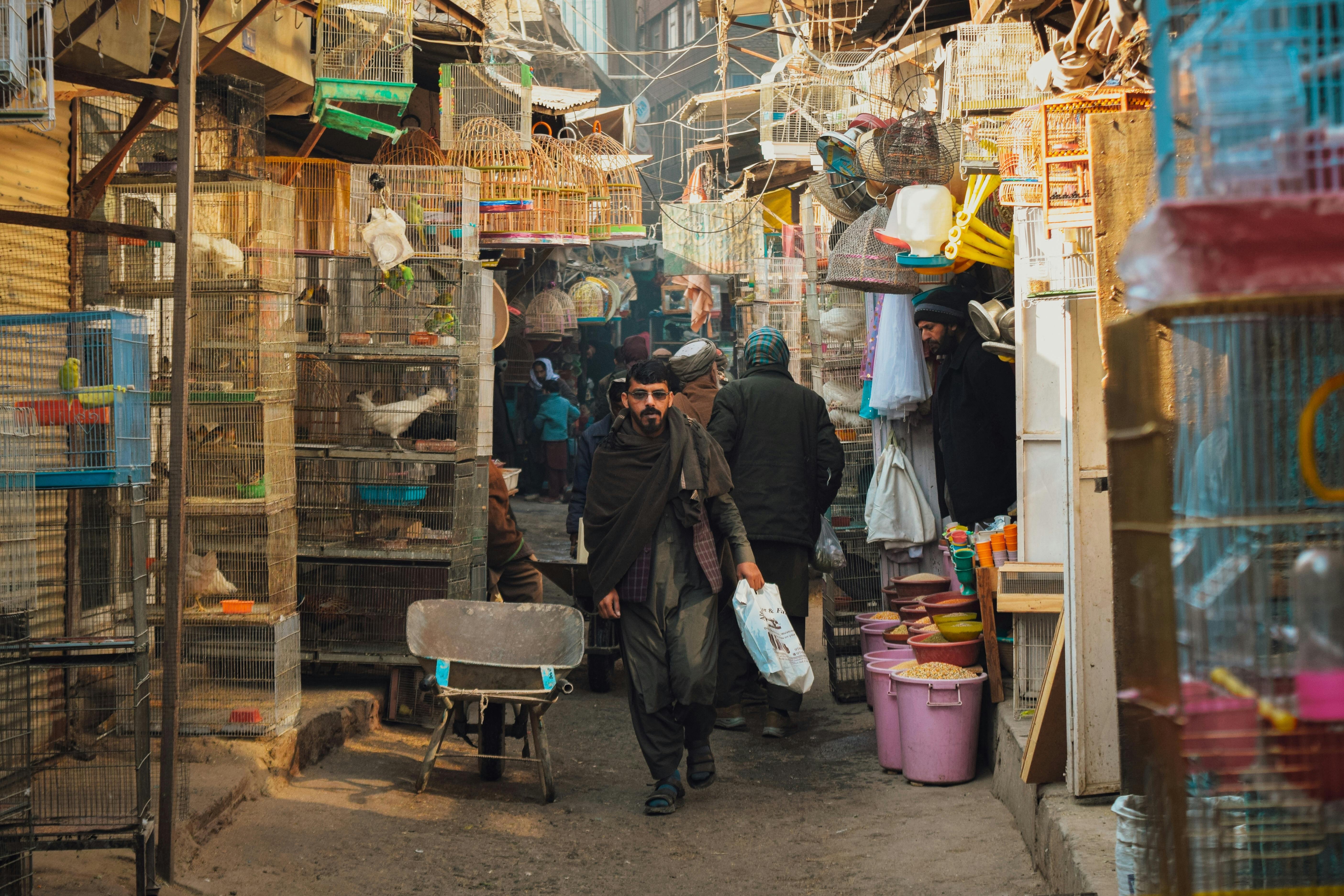 Travel in Afghanistan